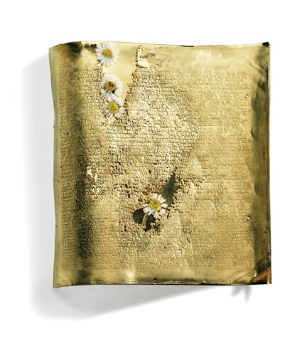 Fragile Form sculpture – gold on silver and pressed flowers